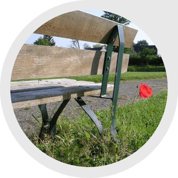 FREDON Bretagne - végétalisation espaces publics (2)