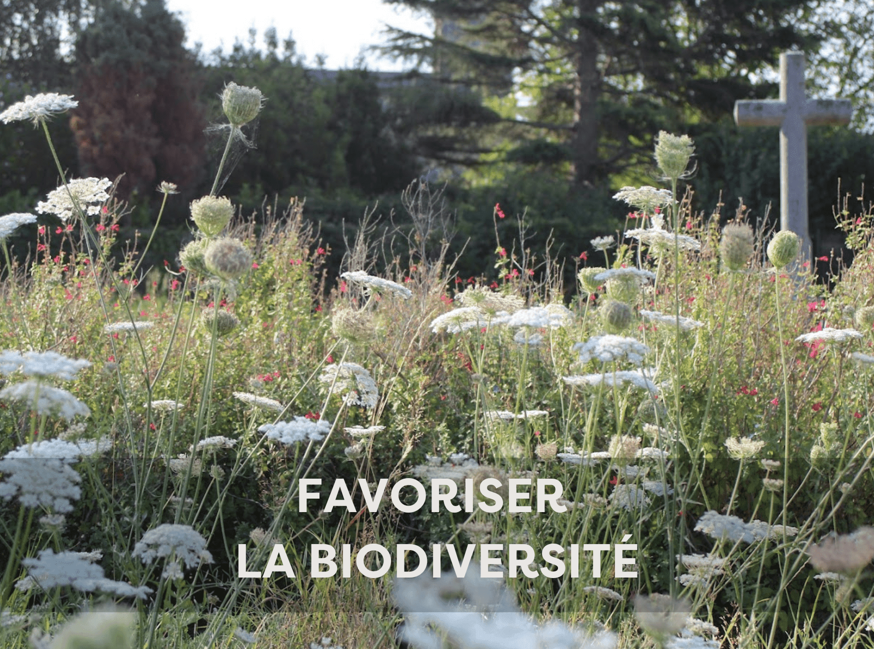 Favoriser-la-biodiversite charte +nature-min Favoriser-la-biodiversite charte +nature-min