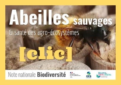 Note nationale ABEILLES