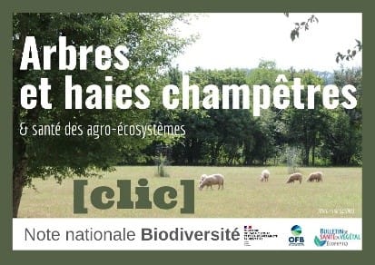 Note nationale ARBRES ET HAIES CHAMPETRES