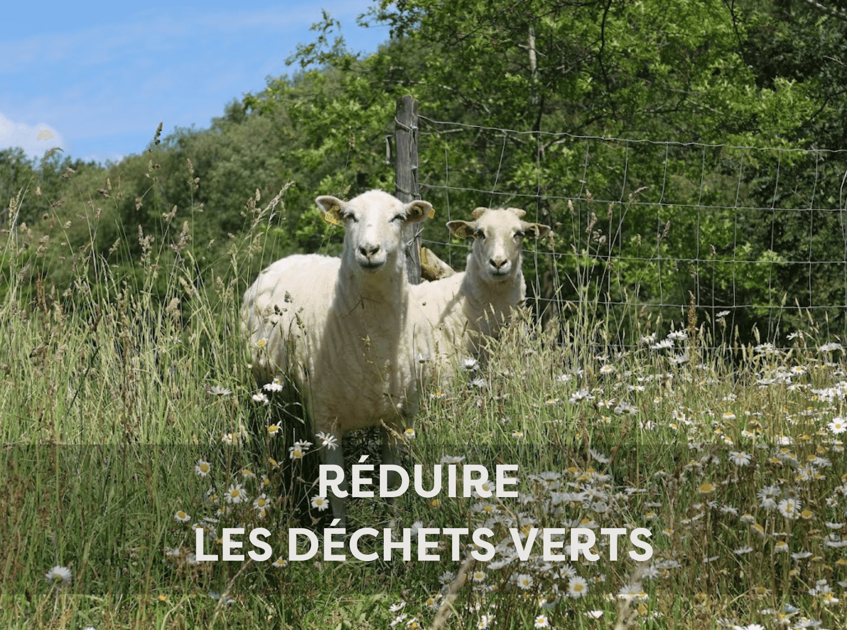 Reduire-les-dechets-verts charte +nature-min Reduire-les-dechets-verts charte +nature-min