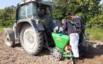 Expérimentation BPE – Lutte contre le taupin en culture de pommes de terre