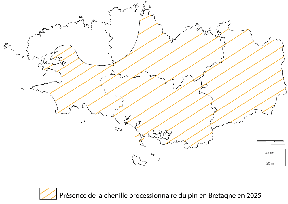 PRESENCE-DE-LA-PRO-DU-PIN-2025
