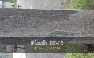 FLASH SEVE n°114 – Juin 2026